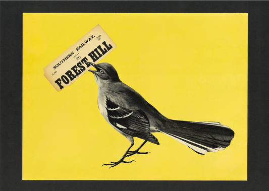 Forest Hill - LIMITED EDITION PRINT