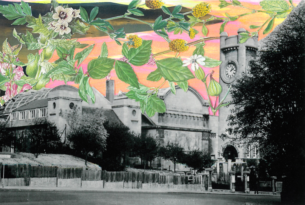 Horniman Gardens - LIMITED EDITION PRINT